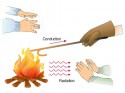 heat-transfer