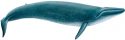 blue-whale