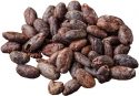 bunch-of-cocoa-beans