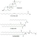 common-lipids