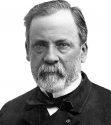 Louis-Pasteur